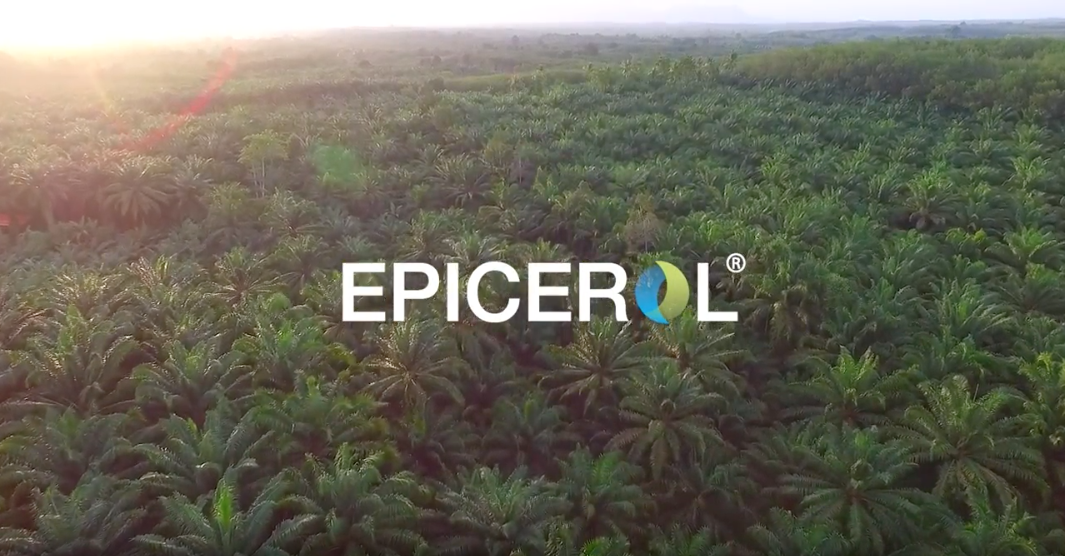 Epicerol Video Sneak Preview 8 November 2016