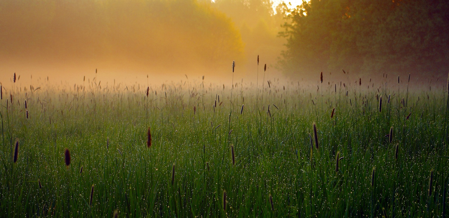 Natuurpunt 1 for the planet